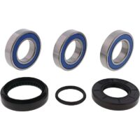 ROLAMENTOS RODA TRAS HONDA TRX 250 ALL BALLS 25-1034