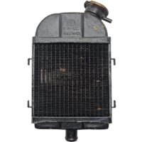 RADIADOR FAMEL XF17