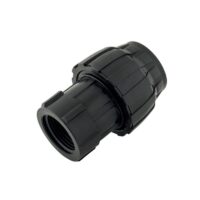 UNIAO TUBOS ROSCA FEMEA 32X1" WOLFPACK 04117416