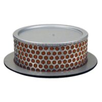 FILTRO AR BERNARD WP39/139/239/317/8/417/429 FAISCA